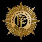 Irish Defence Forces | DSS III