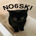 NO6SKI