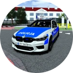 BMW M5 (Police)