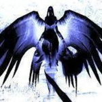 FIRE TEAM BLACK
