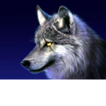 wolf team good