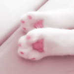 rafipin