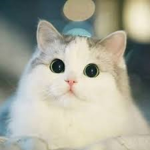 Hangout Place Fan Group