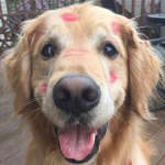 corazónss