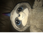 Mr. sloth group
