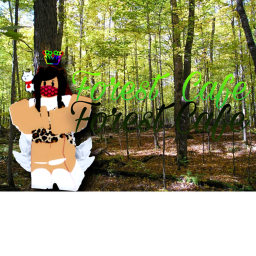[NEW] Forest Café