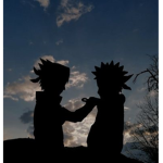 Dark Shadow!