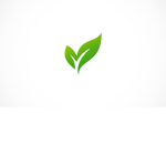 Tree Of LIfe Church