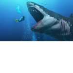 The meg squad