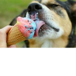 Cold Stone || Ice Cream & Milkshakes ||
