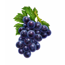Grape Meeting Area