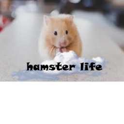 Hamster Escape [TEST]