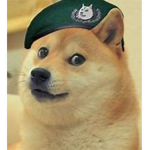 THE DOGE ARMY D.A [Fr]