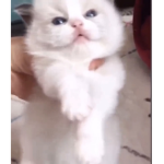 ScReEcH!-