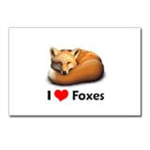 FOX lovers!!!!!!