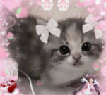 CUTECORE GROUP....!!!