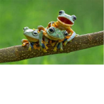 The Friend Gang <3