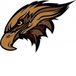 Brown Hawk #######
