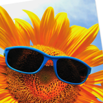 * Sunshine Group *