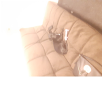 Robuck:)