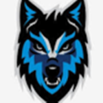 Foxxy's Fans