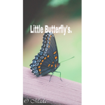 My Little Butterfly’s.