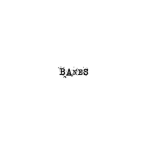 banes enterprises