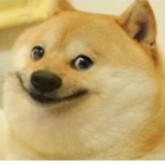 game the doggo shirts _____