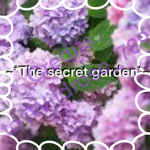 ~*The secret garden*~