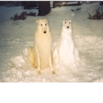 -Odd Friends-