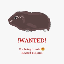 Guinea Rabbit Official Game