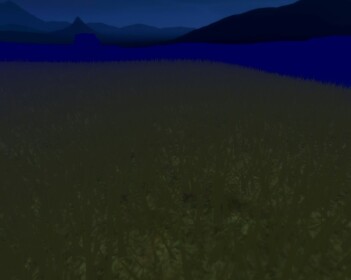 a foggy night. SHOWCASE