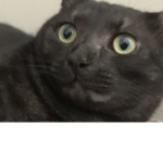 HELLLLOOO
