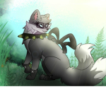 Tigertatze4