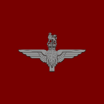 ВAF | Parachute Regiment