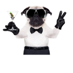 J-e-s-t-e-m mops