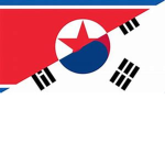 The Korean Defence Forces