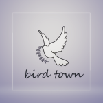 Bird town | 새마을