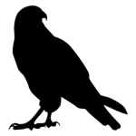 Falcon Studios™