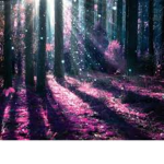 Forrest Scouts