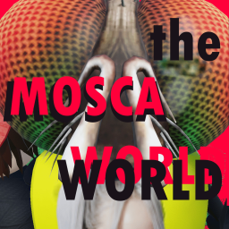 [2.0] Moscas World