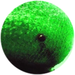 { Roblox badge thumbnail