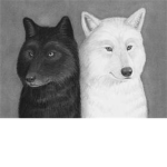 The Wolve Group