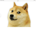 Doge Studios Squad