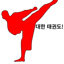 대한 태권도