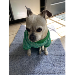 PETS ARE US FAN GROUP
