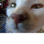 El mundo Fran :D