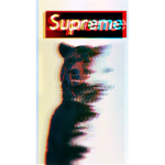 The Bear Supreme Team