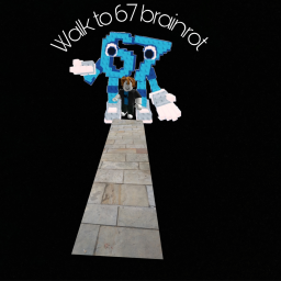 WALK TO 67 BRAINROT