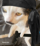 3dz